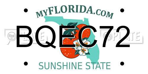 BQEC72 Florida License Plate