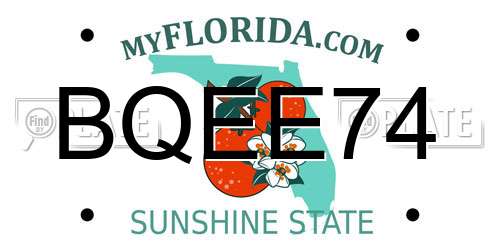BQEE74 Florida License Plate