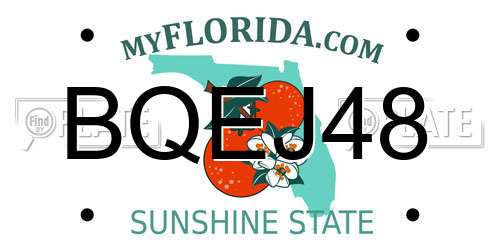 BQEJ48 Florida License Plate