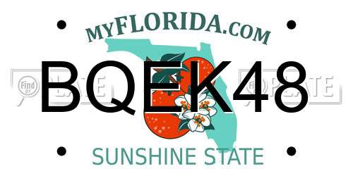 BQEK48 Florida License Plate