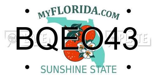 BQEO43 Florida License Plate