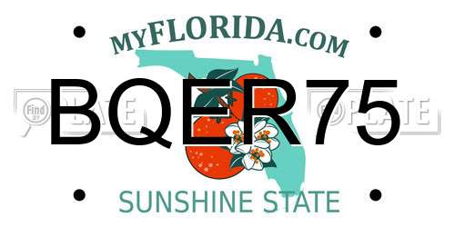 BQER75 Florida License Plate