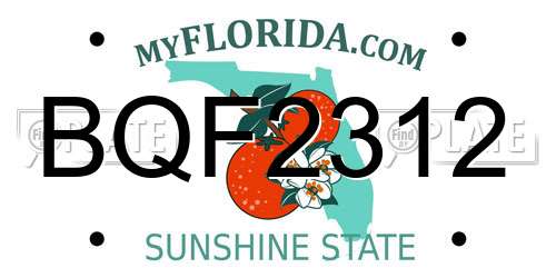 BQF2312 Florida License Plate