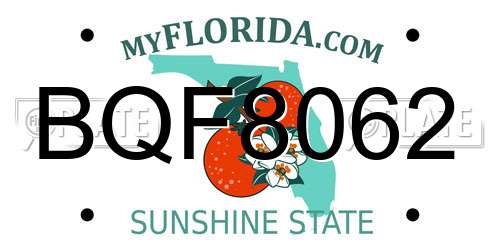 BQF8062 Florida License Plate