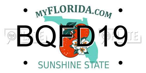 BQFD19 Florida License Plate