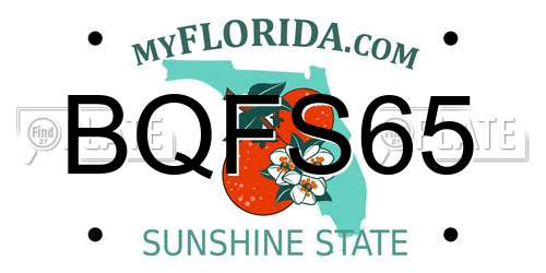 BQFS65 Florida License Plate