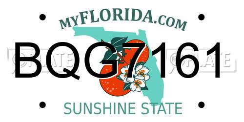BQG7161 Florida License Plate