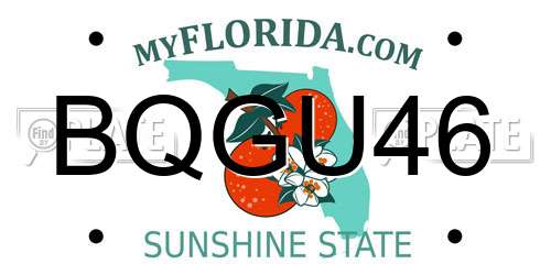 BQGU46 Florida License Plate