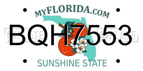 BQH7553 Florida License Plate
