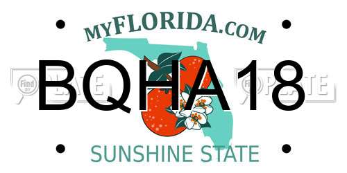 BQHA18 Florida License Plate