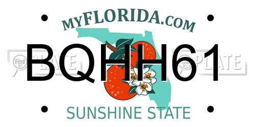 BQHH61 Florida License Plate