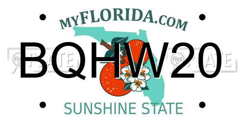 BQHW20 Florida License Plate