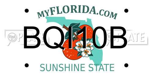 BQI10B Florida License Plate