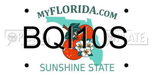 BQI10S Florida License Plate