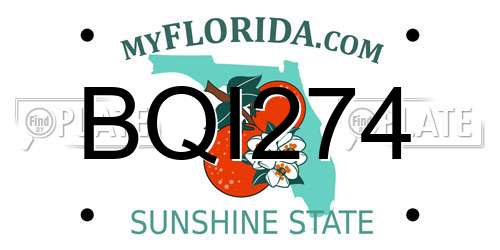BQI274 Florida License Plate