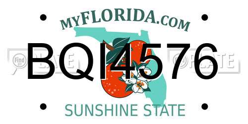BQI4576 Florida License Plate