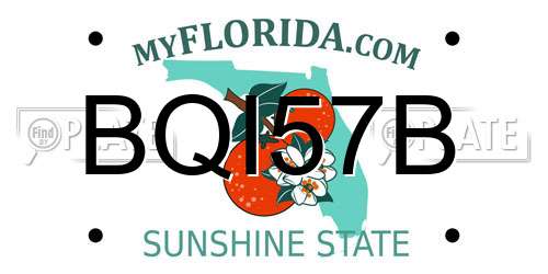BQI57B Florida License Plate