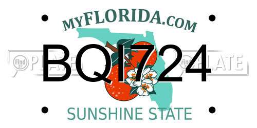 BQI724 Florida License Plate