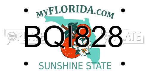 BQI828 Florida License Plate