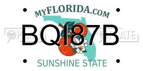 BQI87B Florida License Plate