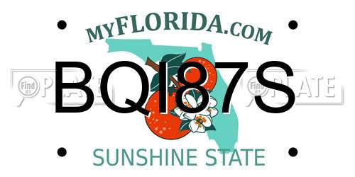 BQI87S Florida License Plate