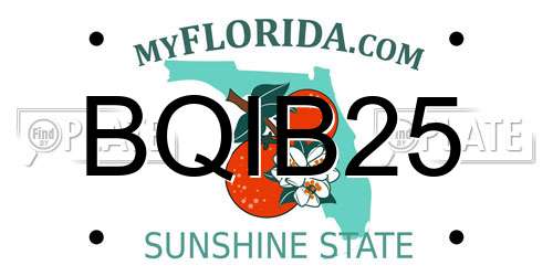 BQIB25 Florida License Plate