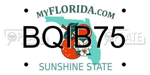 BQIB75 Florida License Plate