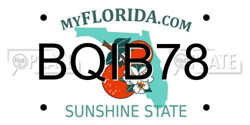 BQIB78 Florida License Plate