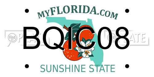 BQIC08 Florida License Plate