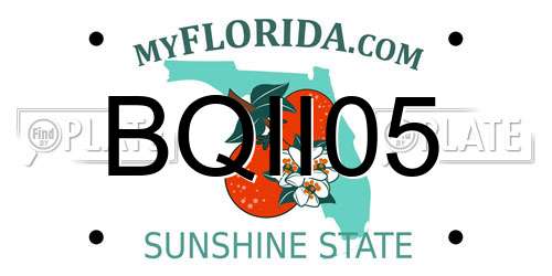 BQII05 Florida License Plate