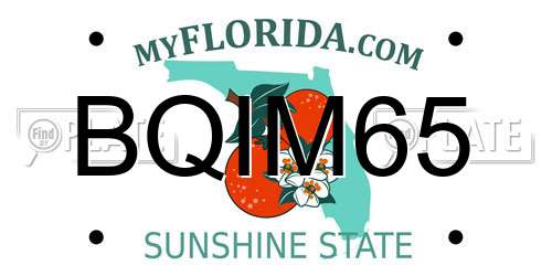 BQIM65 Florida License Plate