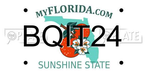 BQIT24 Florida License Plate