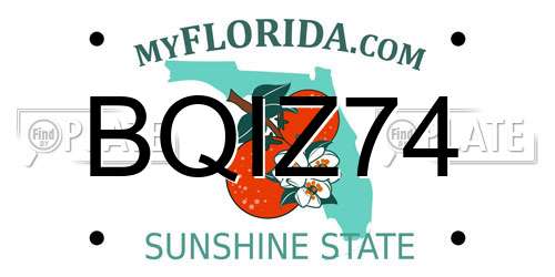 BQIZ74 Florida License Plate