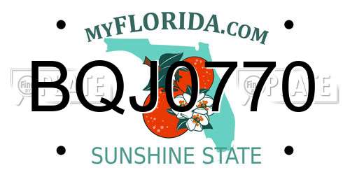 BQJ0770 Florida License Plate