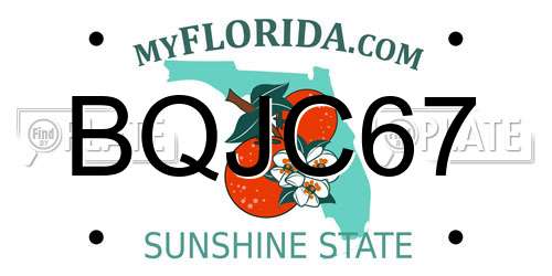 BQJC67 Florida License Plate