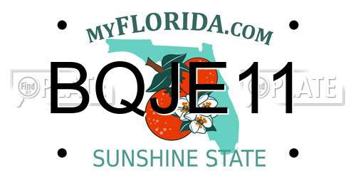 BQJE11 Florida License Plate