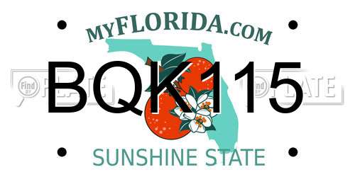 BQK115 Florida License Plate