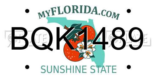 BQK1489 Florida License Plate