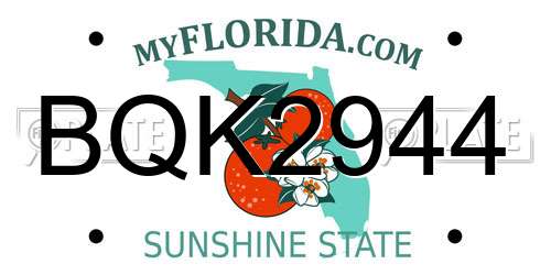 BQK2944 Florida License Plate
