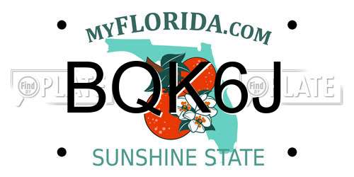 BQK6J Florida License Plate