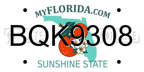 BQK9308 Florida License Plate