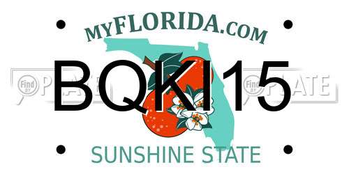 BQKI15 Florida License Plate