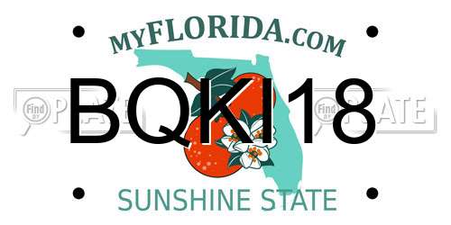 BQKI18 Florida License Plate
