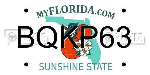 BQKP63 Florida License Plate