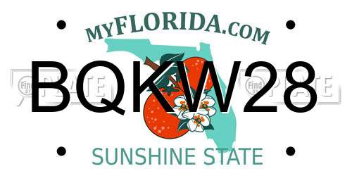 BQKW28 Florida License Plate