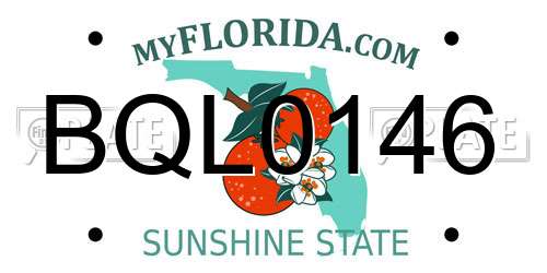BQL0146 Florida License Plate