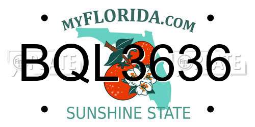 BQL3636 Florida License Plate