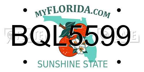 BQL5599 Florida License Plate