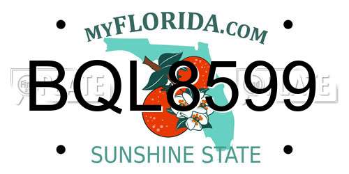 BQL8599 Florida License Plate