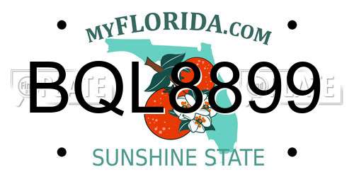 BQL8899 Florida License Plate